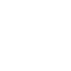 Icon Electricity