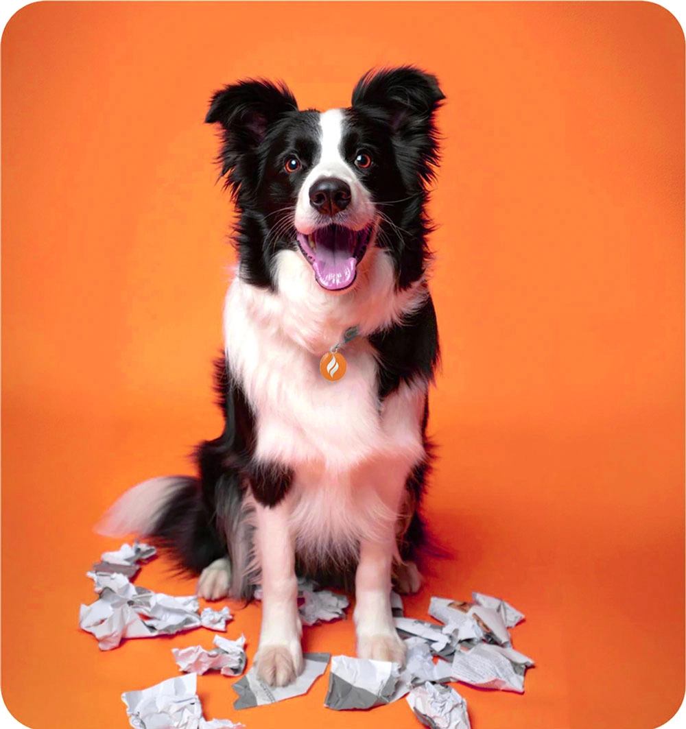 SPOTpower Alberta energy campaign dog mascot